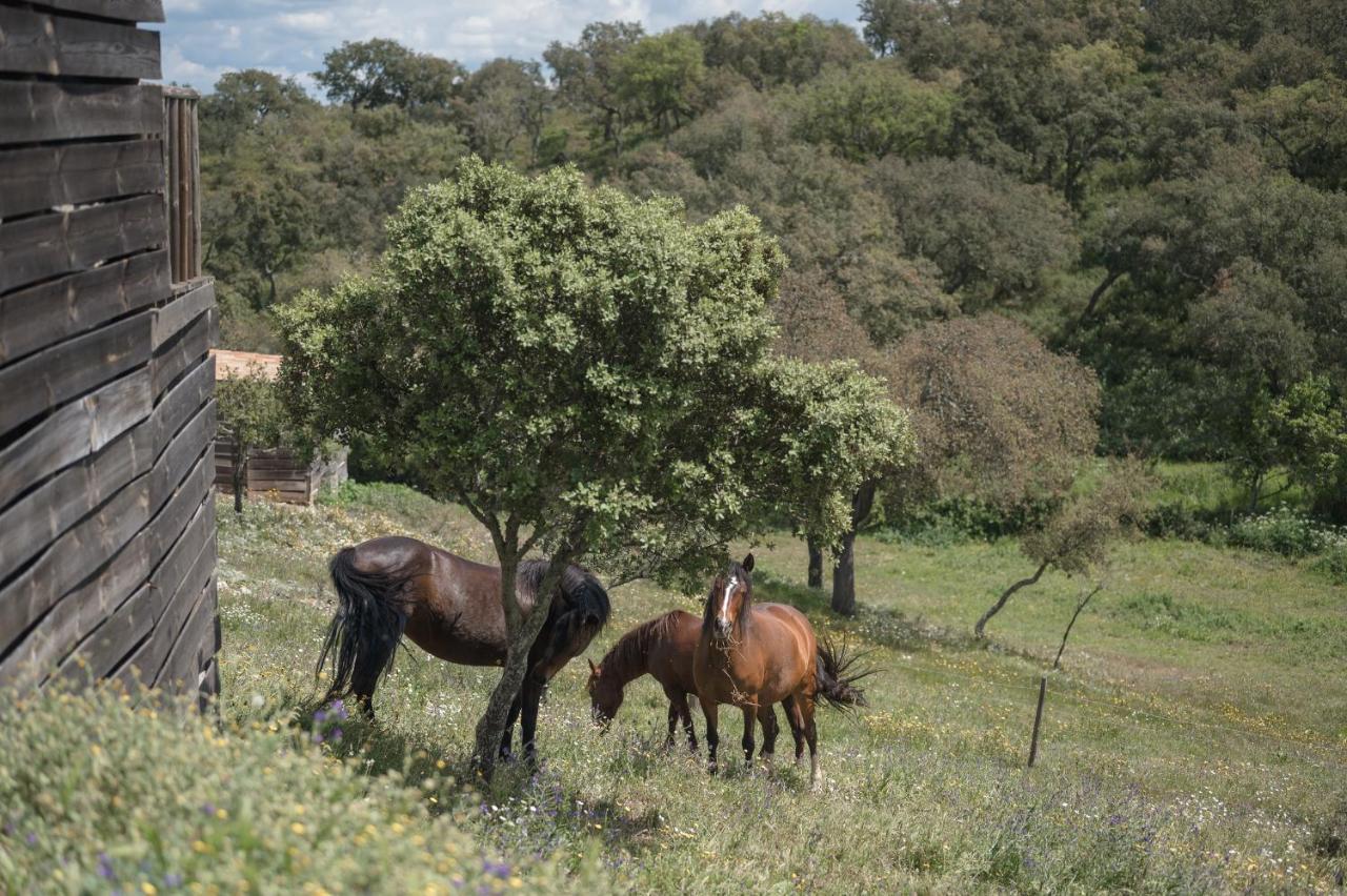 Monte Gois Country House E Spa Curvatos Exterior foto